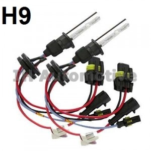 Pareja bombillas Kit xenon H9. Universales.